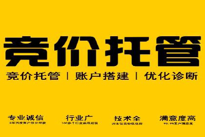 SEM托管服务案例：助力企业快速崛起